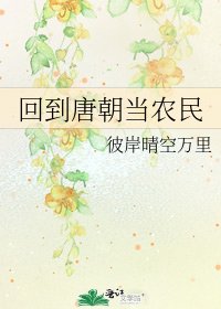 《回到唐朝当农民》