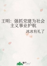 王明：强抓党建为社会主义事业护航