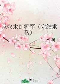 《從奴隸到將軍(求磚)》