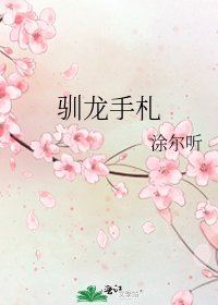 《驯龙手札》