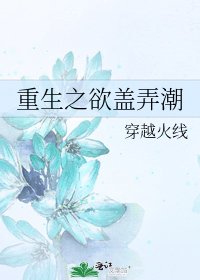 重生之慾蓋弄潮