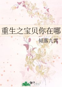 《重生之宝贝你在哪》