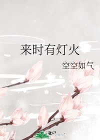 来时有灯火