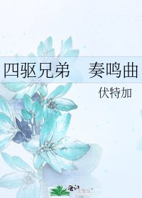 四驱兄弟　奏鸣曲