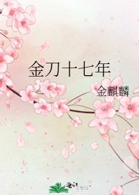 《金刀十七年》