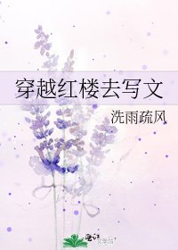 《穿越紅樓去寫文》