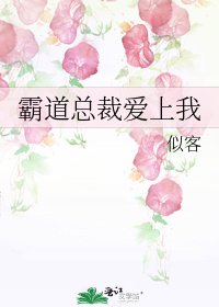 《霸道总裁爱上我》