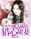 《7夜禁宠:总裁的猎心甜妻》