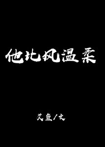 《他比风温柔》