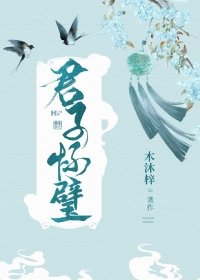 《君子怀璧》