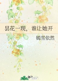 《昙花一现,谁让她开》