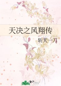 天决之风翔传
