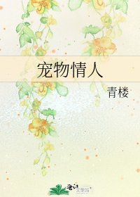 《宠物情人》