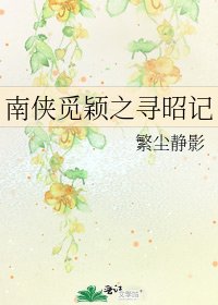 《南俠覓穎之尋昭記》