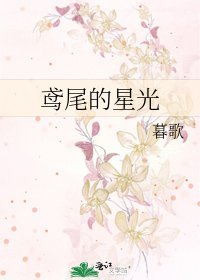 《鸢尾的星光》