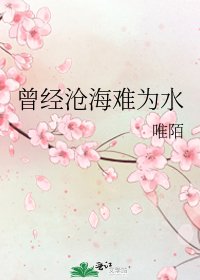 《曾经沧海难为水》
