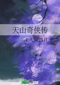 《天山奇俠傳》