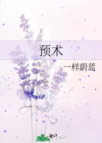 《预术》