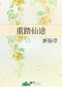 《重踏仙途》