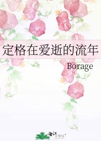 《定格在愛逝的流年》