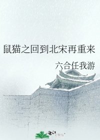《鼠猫之回到北宋再重来》