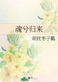 《魂兮归来》