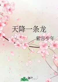 《天降一條龍》