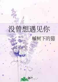 《沒曾想遇見你》