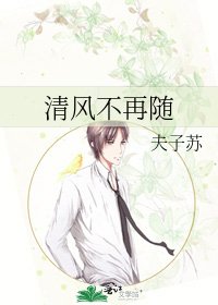 《清风不再随》