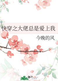 《快穿之大佬總是愛上我》