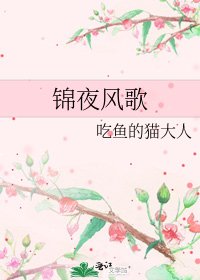 《錦夜風歌》