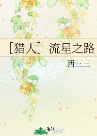 ［猎人］流星之路