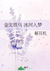 《金戈铁马 冰河入梦》