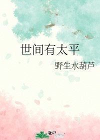 世间有太平