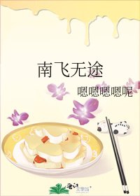 《南飞无途》