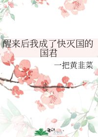 《醒来后我成了快灭国的国君》