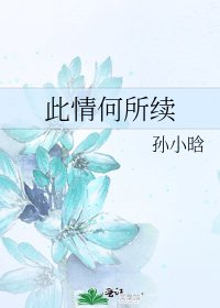 《此情何所续》