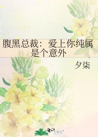 《腹黑總裁:愛上你純屬是個意外》