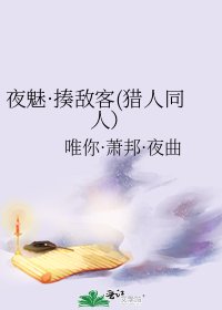 《夜魅·揍敵客(獵人同人)》