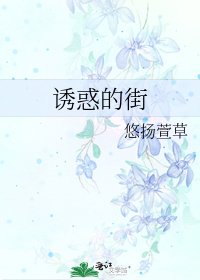 《诱惑的街》