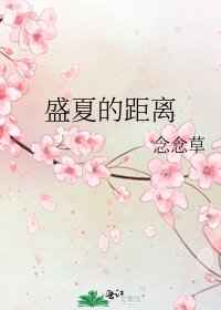 《盛夏的距離》