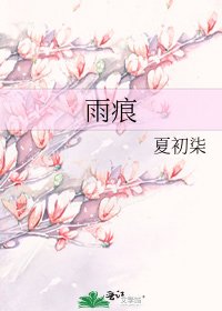《雨痕》