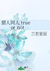 猎人同人 true or not