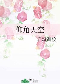 《仰角天空》