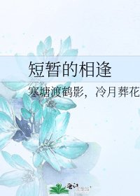《短暫的相逢》
