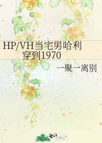 《HP/VH當宅男哈利穿到1970》