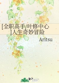 [全职高手/叶修中心]人生奇妙冒险
