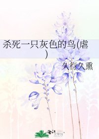 杀死一只灰色的鸟(虐)