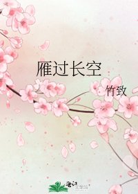 《雁过长空》