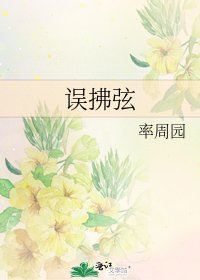 《误拂弦》